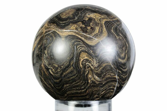 Polished Stromatolite (Greysonia) Sphere - Bolivia #363463